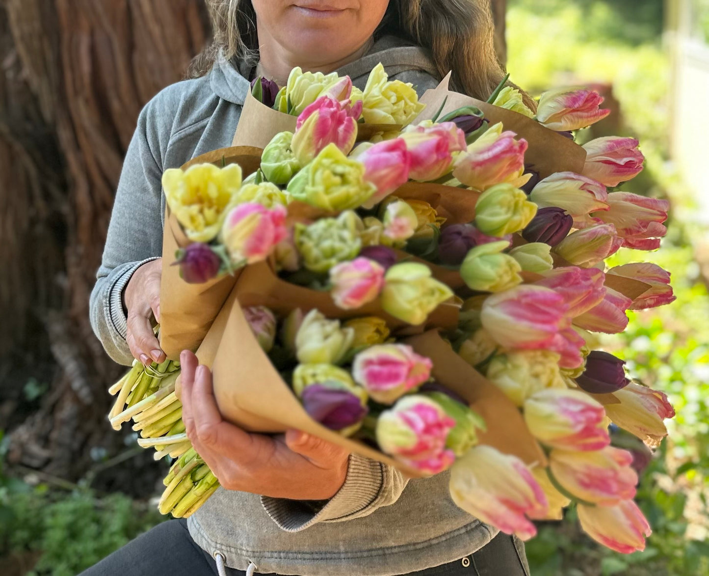 One Dozen Tulips