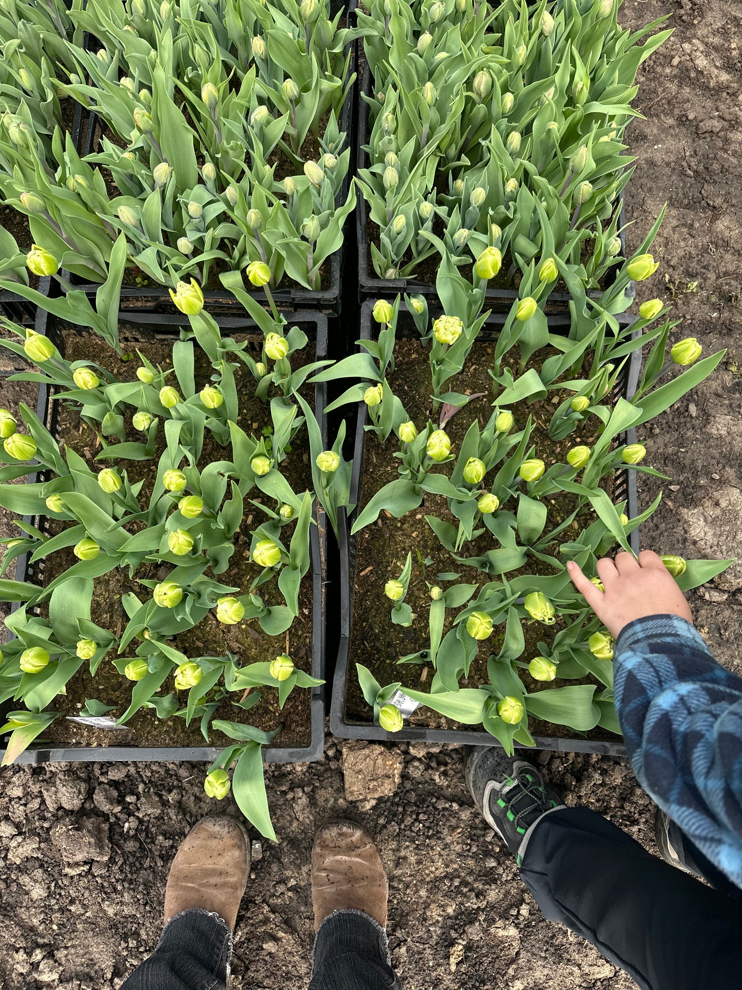 Make Someone's Day Bouquet