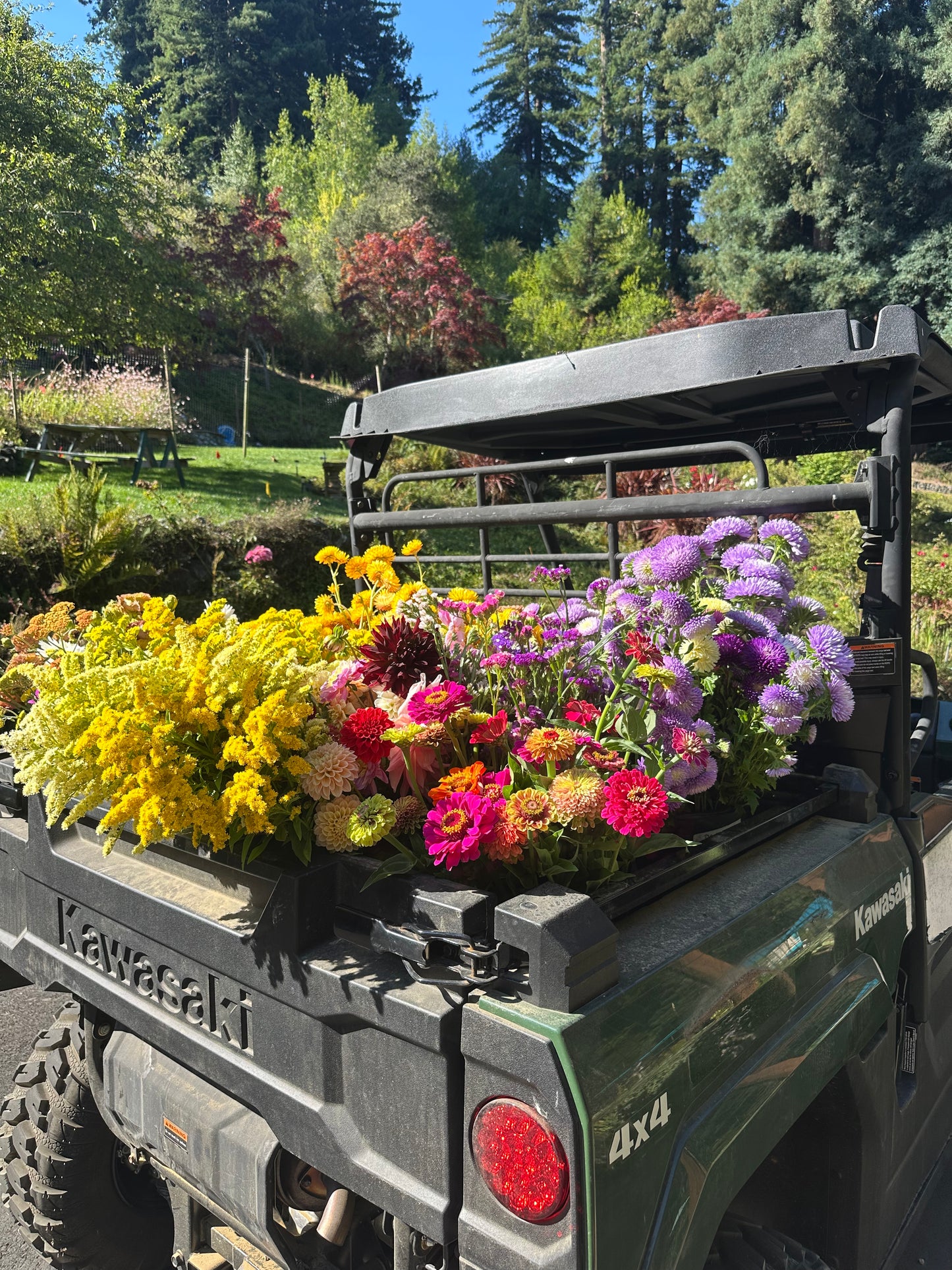 2026 Bouquet Subscriptions