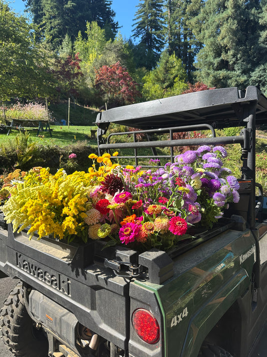 2026 Bouquet Subscriptions