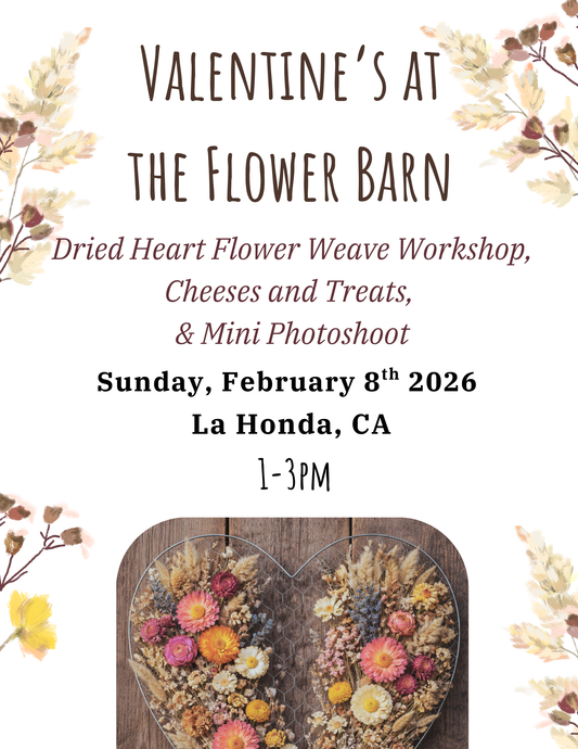 Valentine’s at the Flower Barn | Dried Heart Flower Weave + Mini Photoshoot