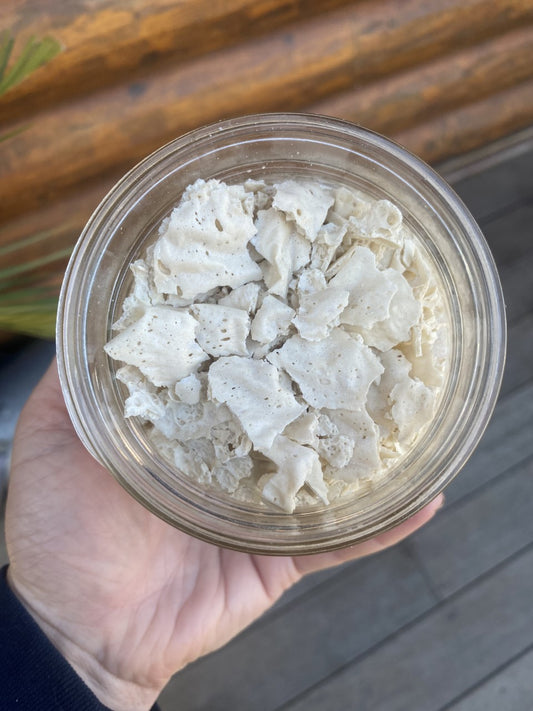 Sourdough Starter