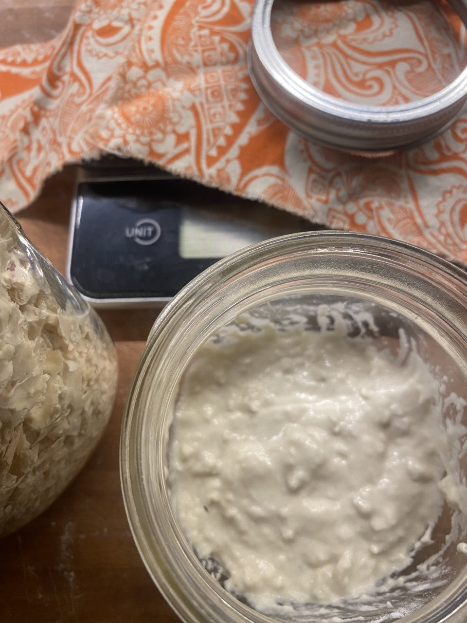 Sourdough Starter