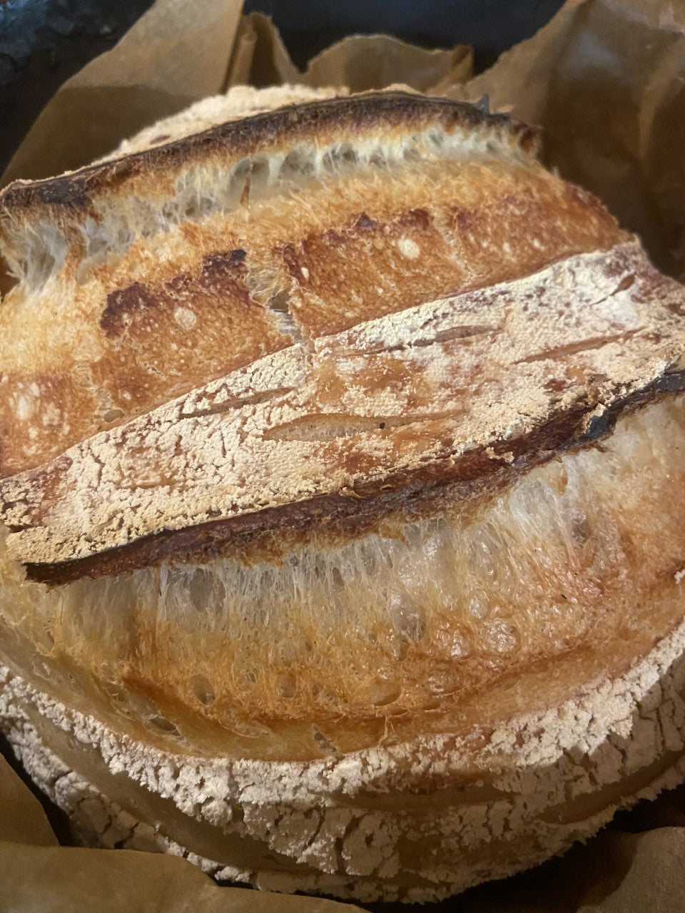 Sourdough Starter